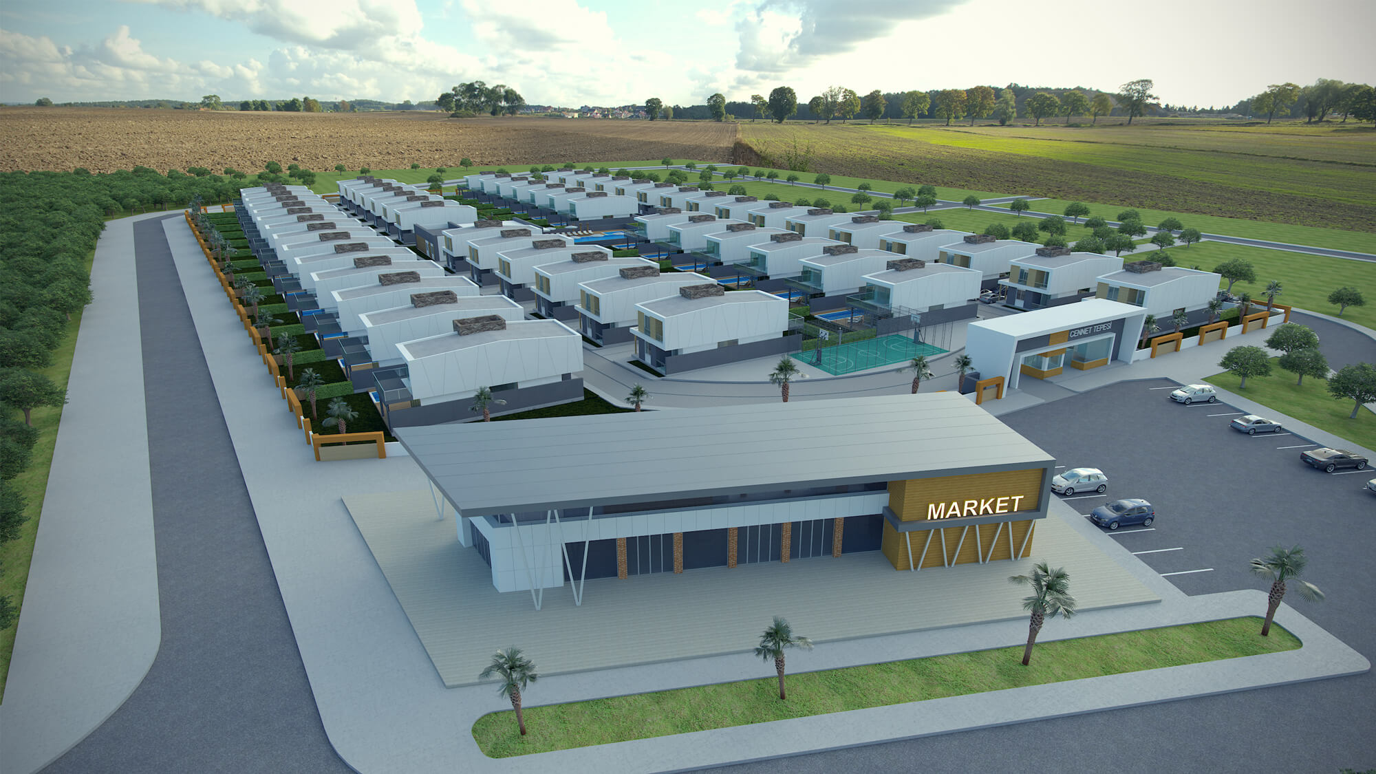 Детальная информация о проекте